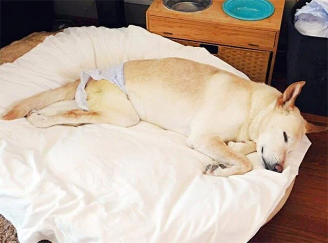 Her new life was filled with joy and adv...