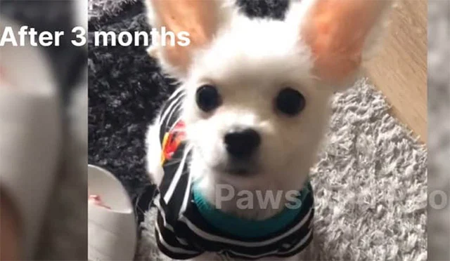 His journey is more than a simple rescue...