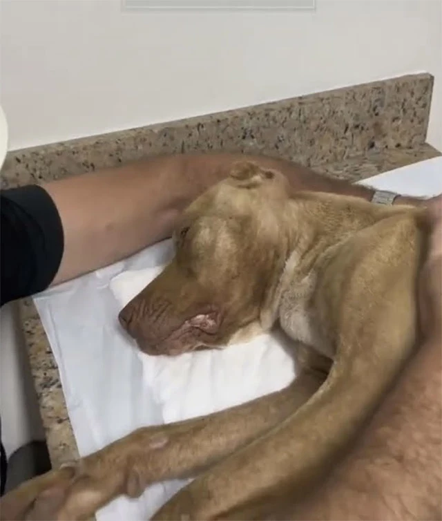 On her first day of treatment, Elena rec...