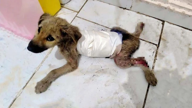 Determined to help, we swiftly took acti...