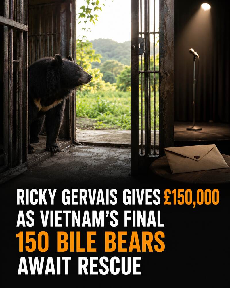 An Asiatic black bear looks through an open cage door toward a green sanctuary, beside a symbolic microphone and donation envelope.