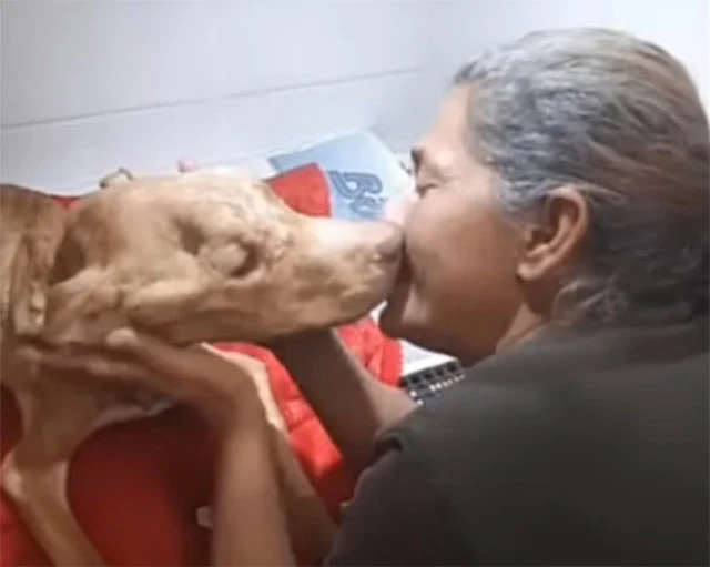 Scooby's tale beautifully illustrates th...