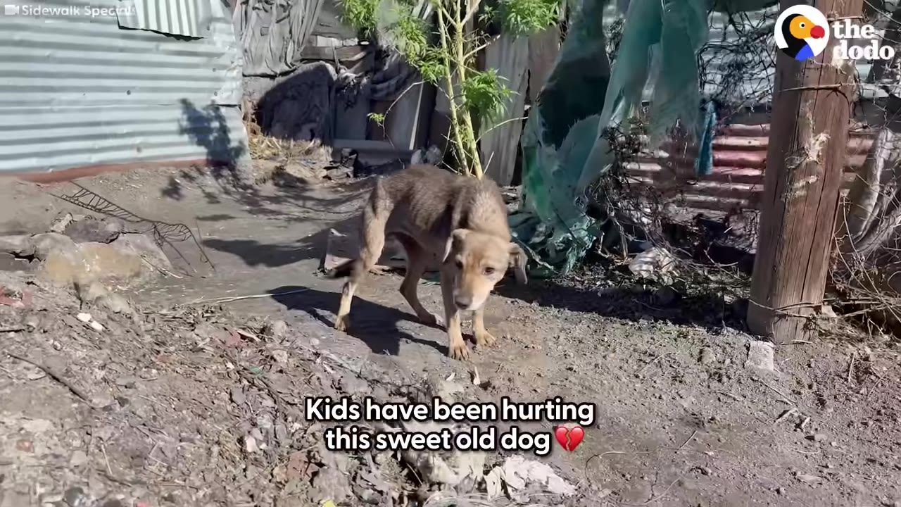 Over two months of devoted care, Duckie'...