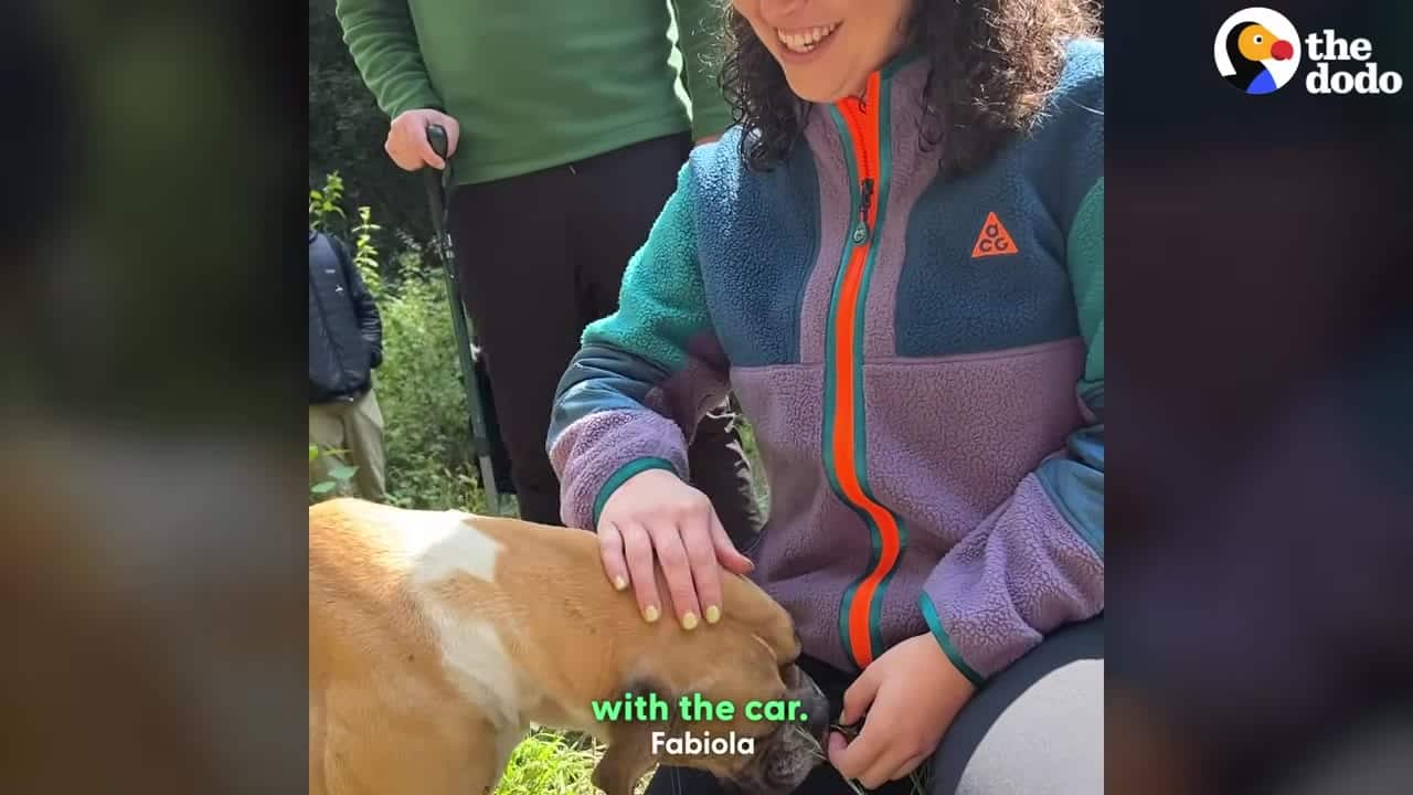 Extra image from article