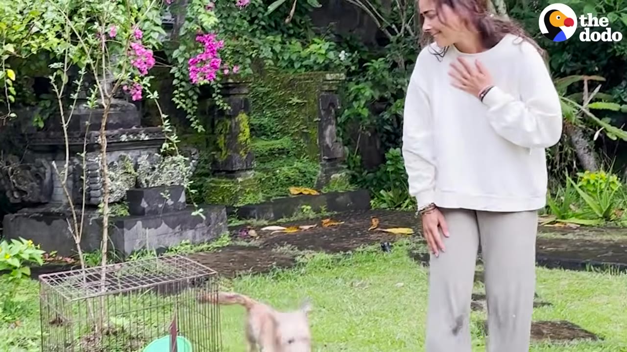 Extra image from article