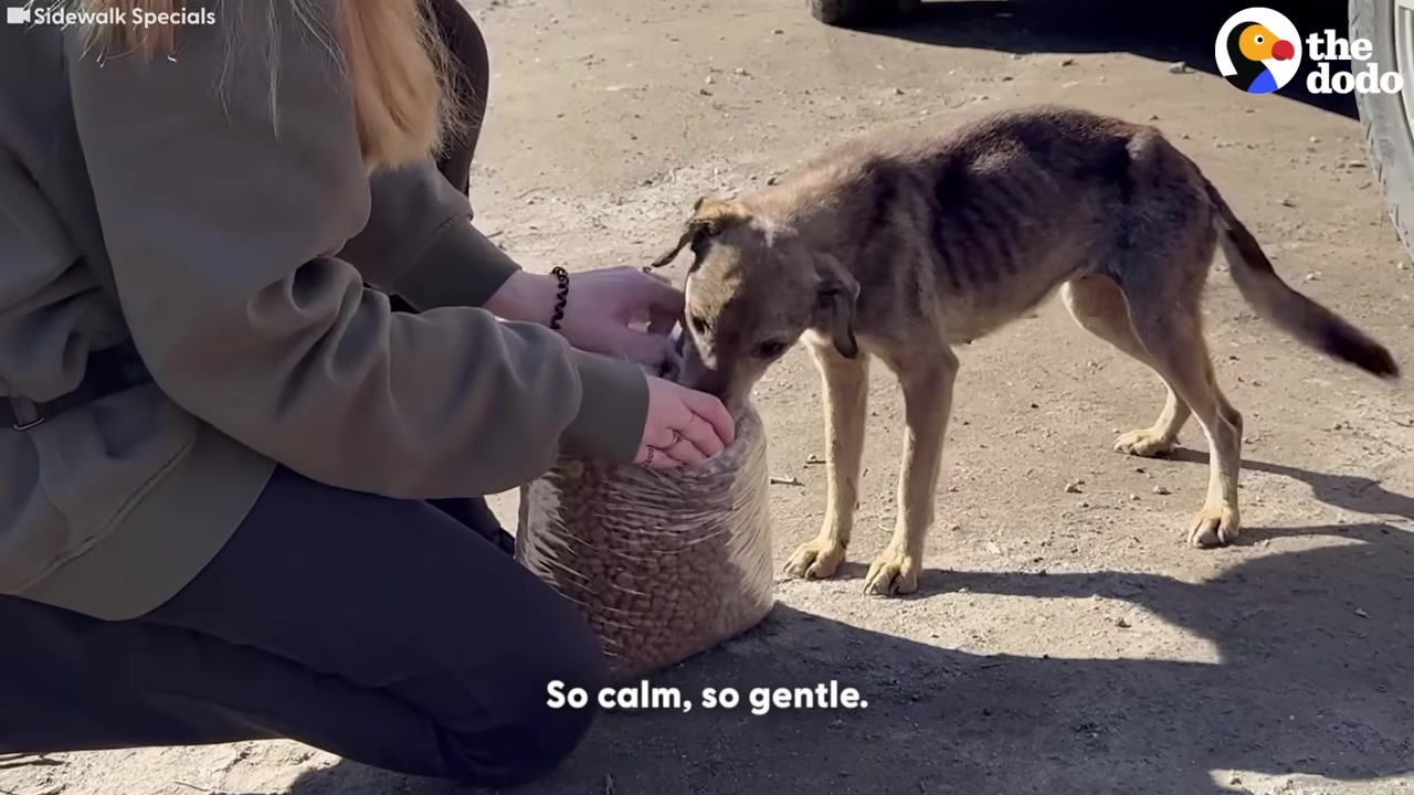 Her gentle nature instantly touched the ...