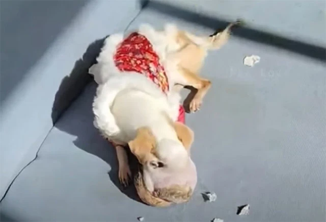In the shelter's care, he found warmth a...