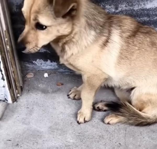 The loss deeply affected her, and she sp...