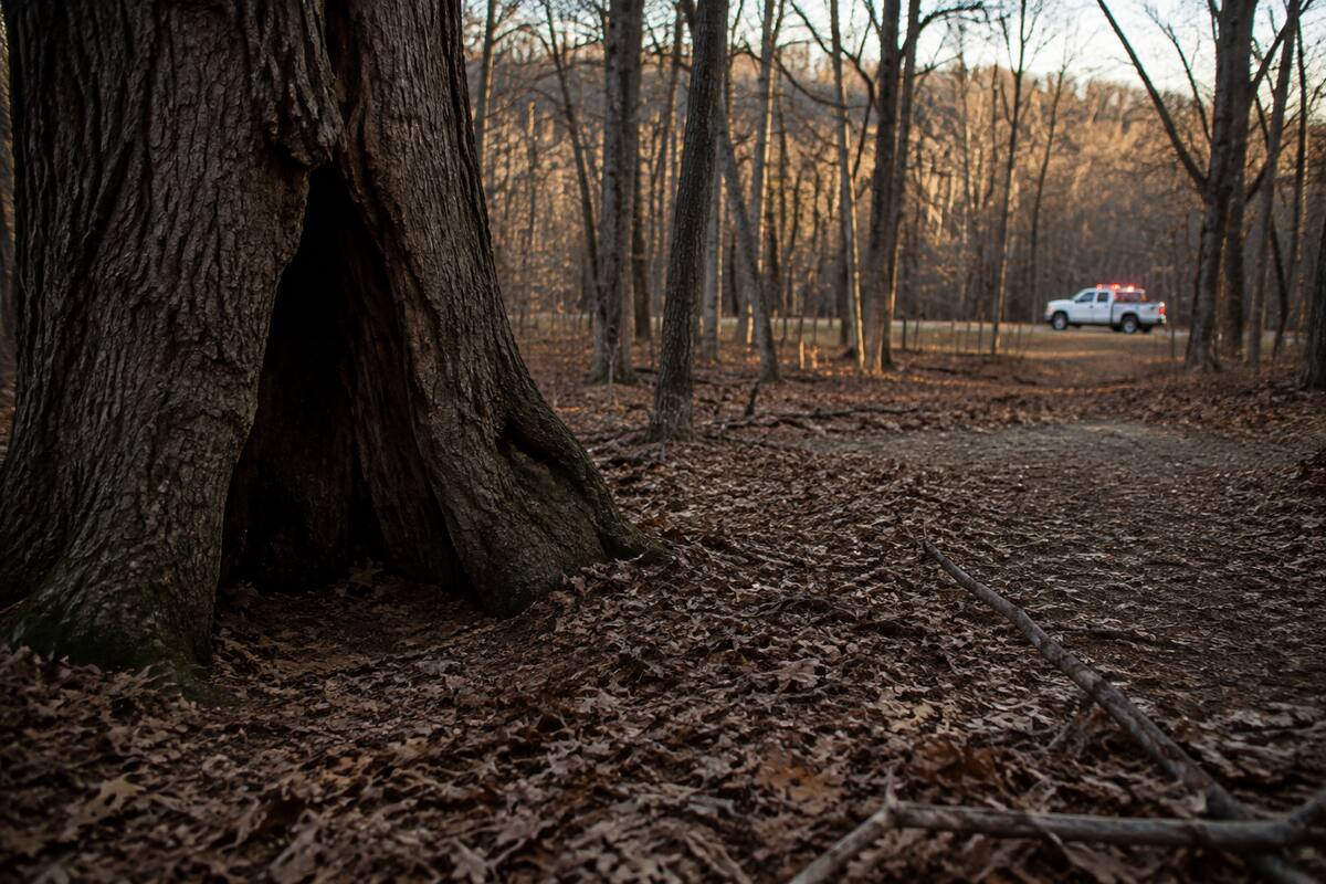 Quiet Virginia woodland after a hunting accident