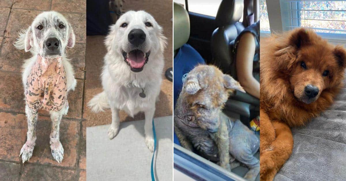Here, we celebrate 20 uplifting stories ...