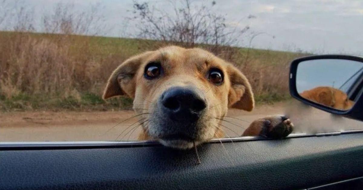When she spotted a group of strangers in...