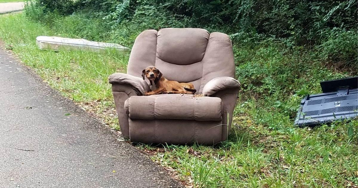 Animal Control Officer Sharon Norton was...