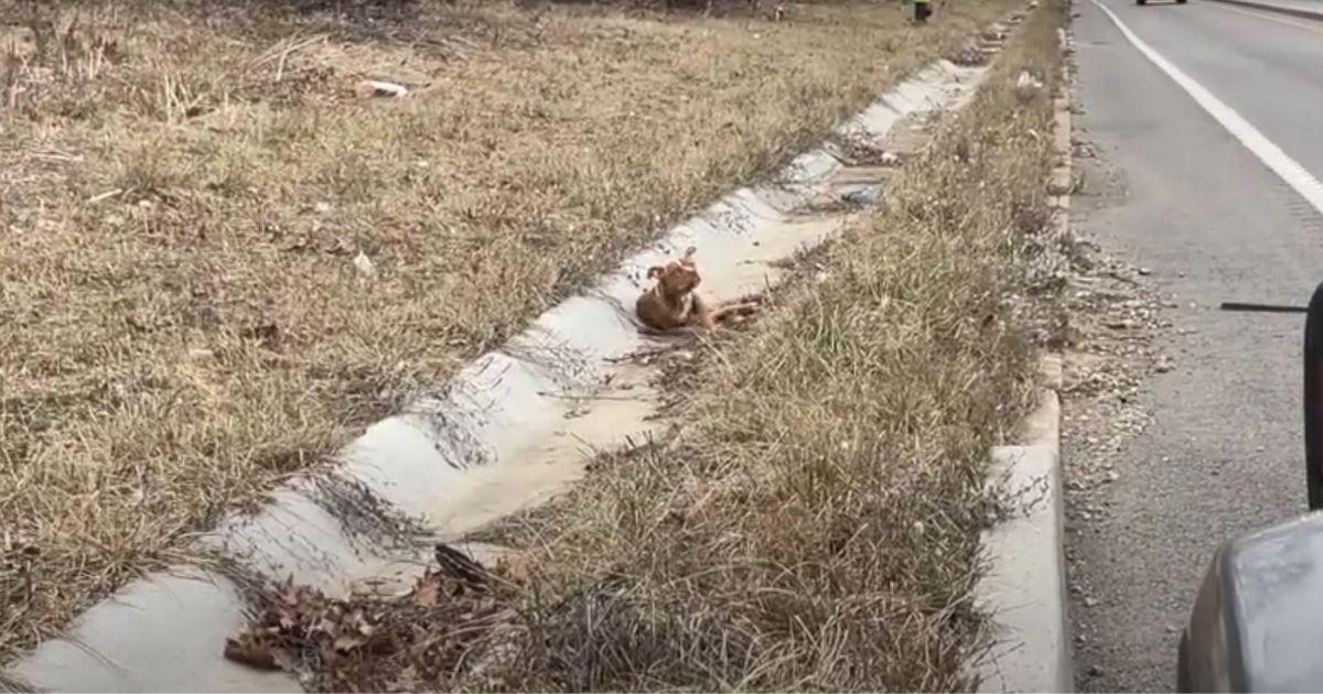 Although he couldn’t stop immediately, t...