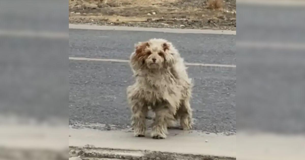 While traveling, a woman was surprised t...