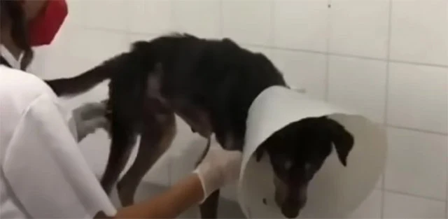Black's journey to recovery was challeng...