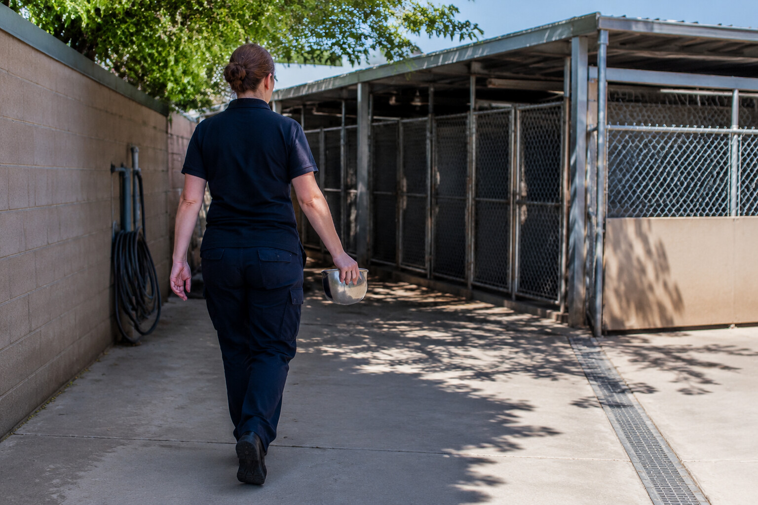 Animal-care worker walking toward shaded kennels with a water bowl