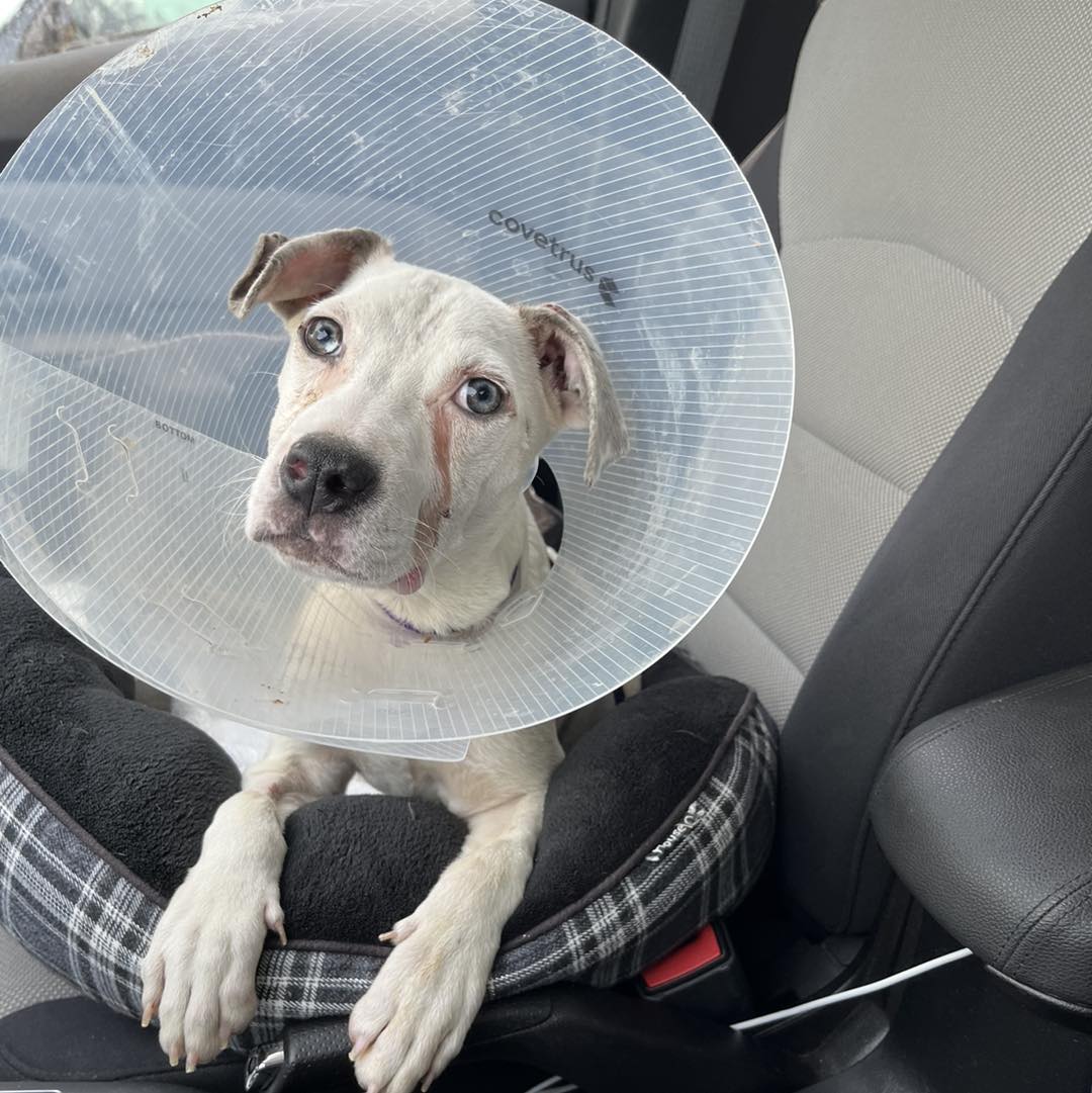 The shelter staff shared on Instagram, “...