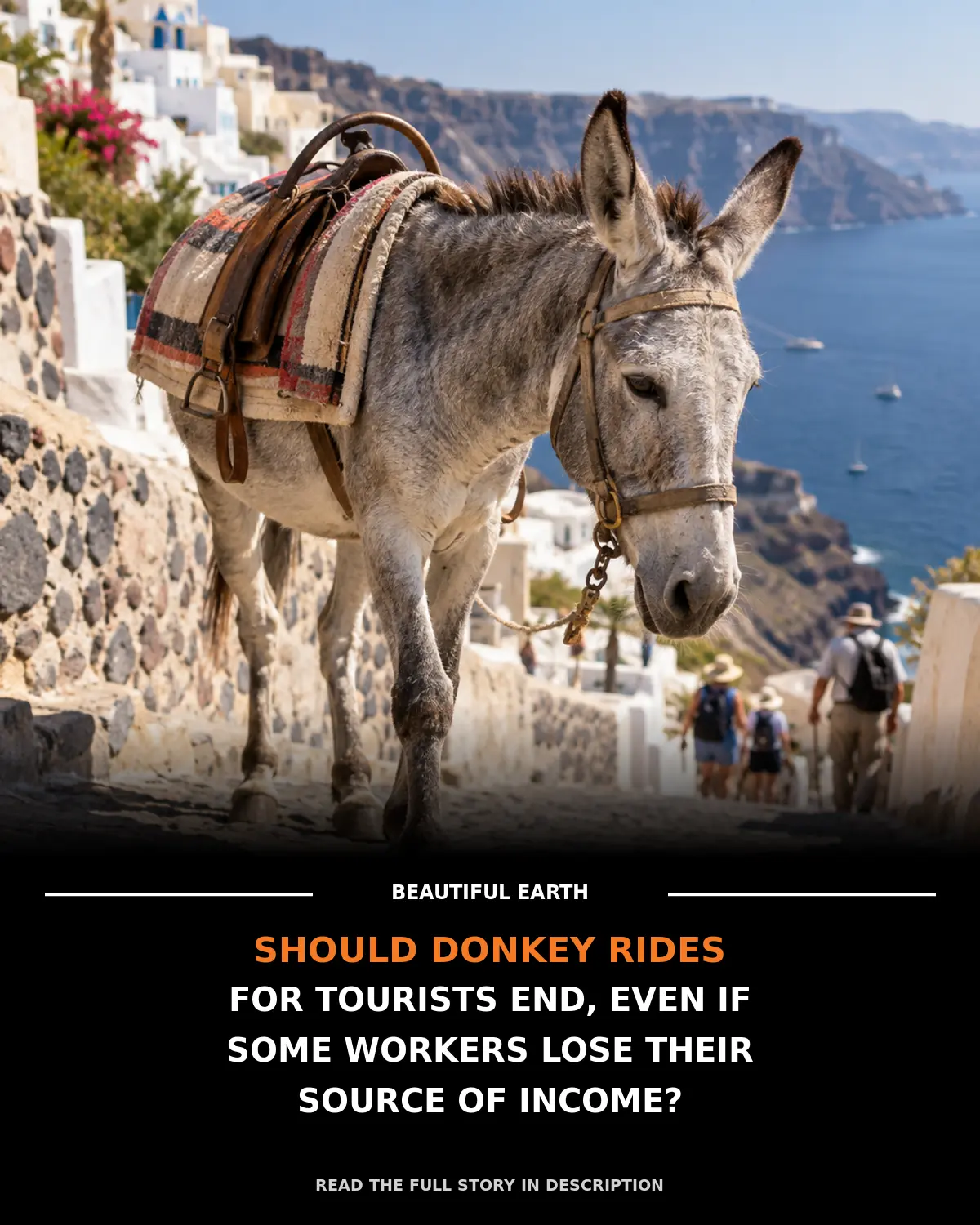 A gray donkey stands on a steep Mediterranean tourist path above a Beautiful Earth headline.
