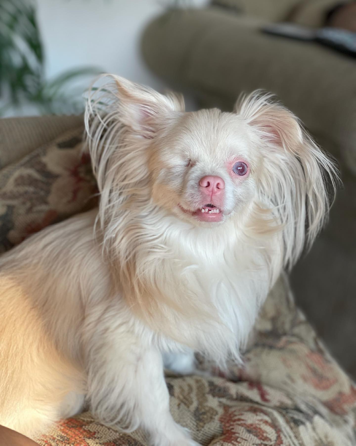 Lucky truly lives up to his name, enjoyi...