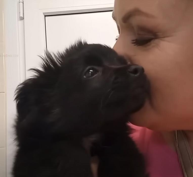 Oksana's unwavering commitment to rescui...