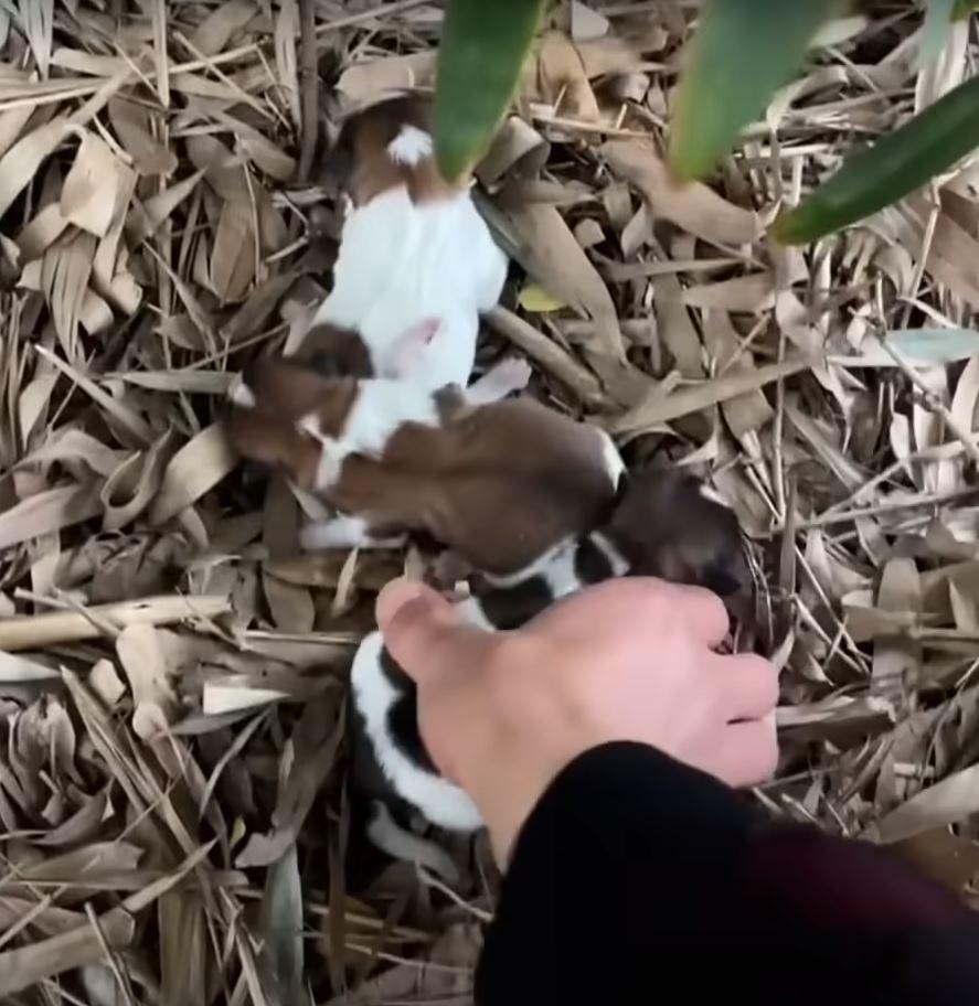 The man’s family was quick to join in, e...