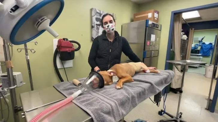 Odella's recovery was challenging, slowe...
