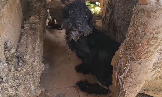 With the help of generous donations, Max...