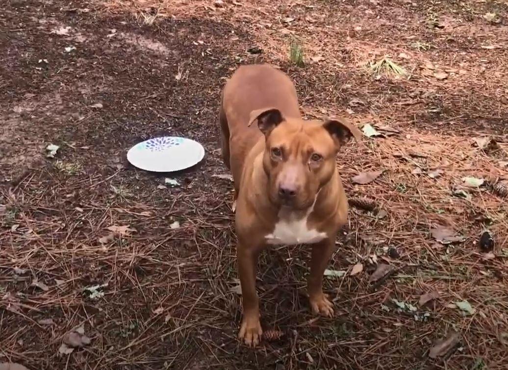 Ruby, who was once unaware of ordinary p...