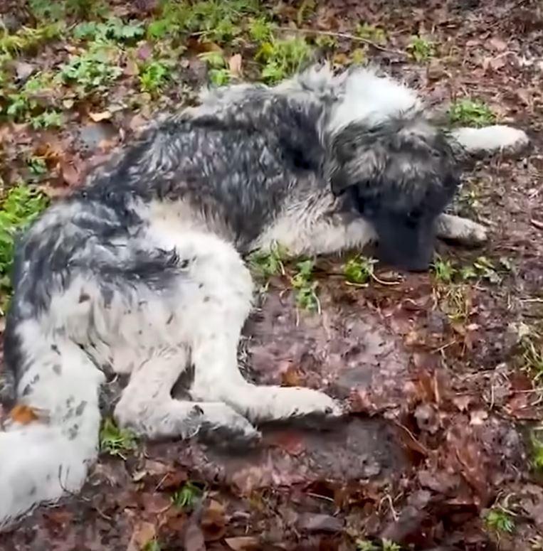“It took several hours before he started...