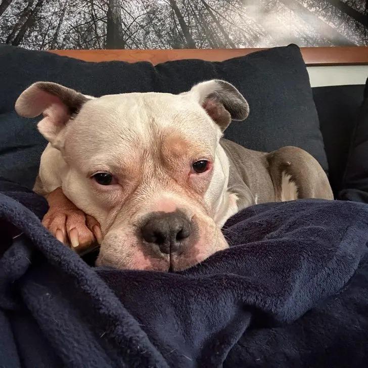Change happened swiftly when, just a wee...