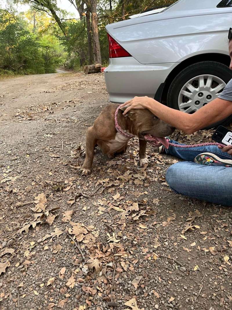 At the rescue center, Pappas underwent a...