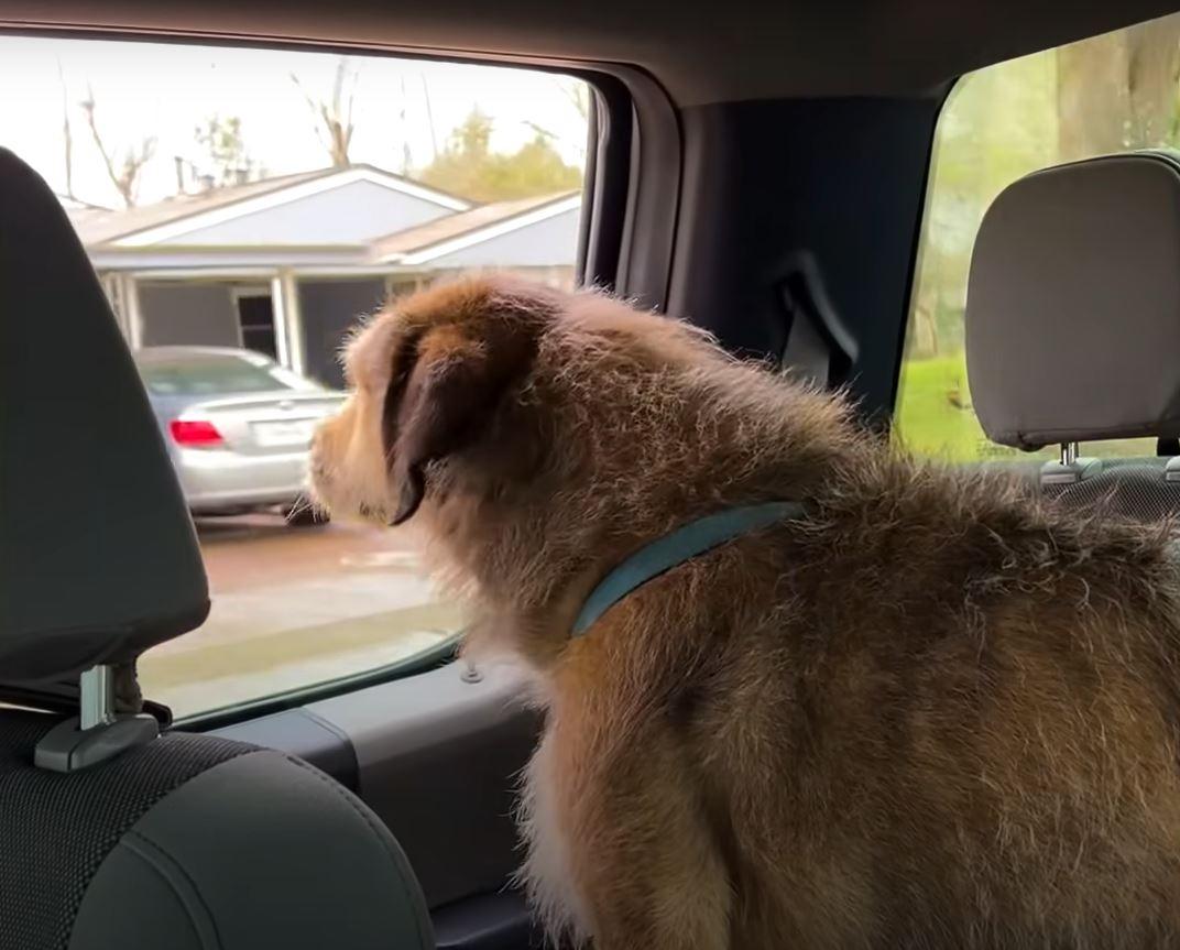 A visit to a Texas vet clinic revealed t...
