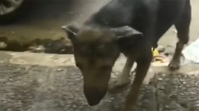 Luni’s story serves as a powerful remind...