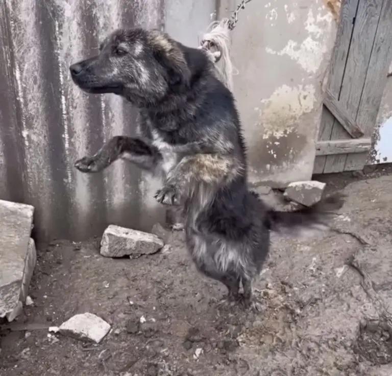Despite her attempts to flee these harsh...