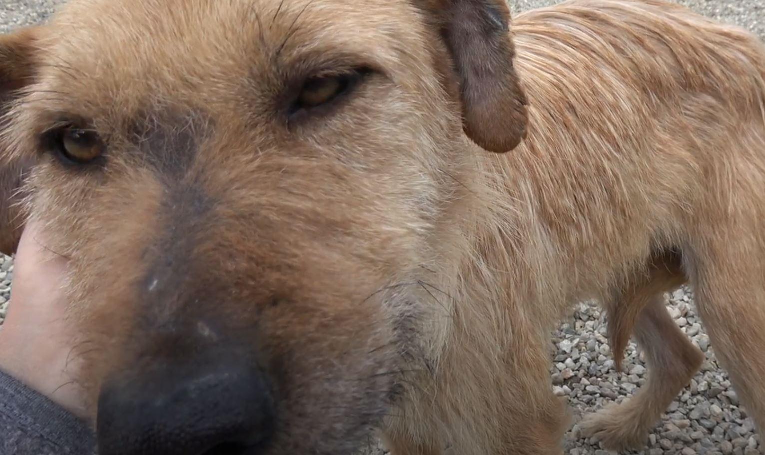 The kindness of her rescuers and everyon...