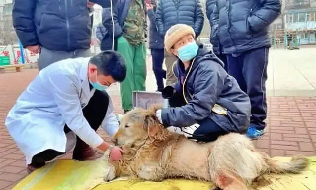 His former owner had abandoned him durin...