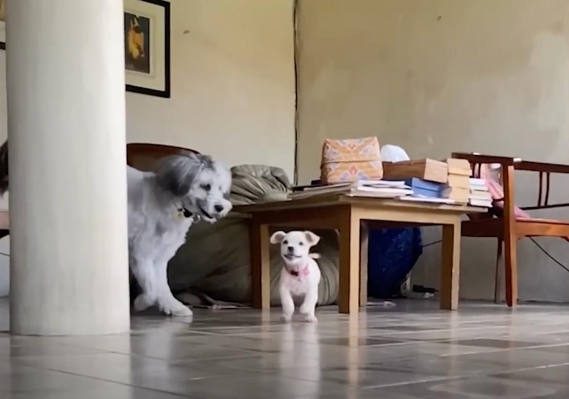 Extra image from article