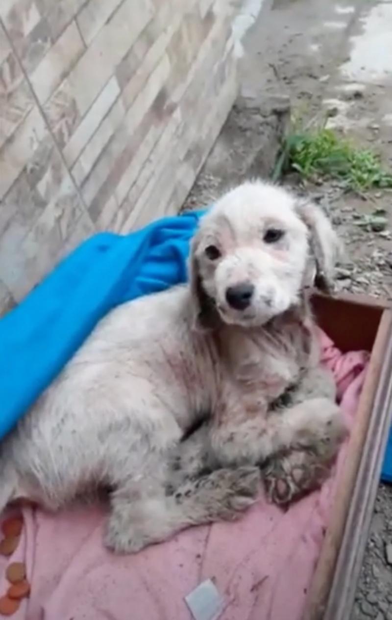 When rescuers arrived, they discovered M...