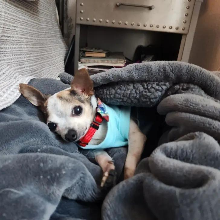 These days, Gilbert enjoys the comfort a...