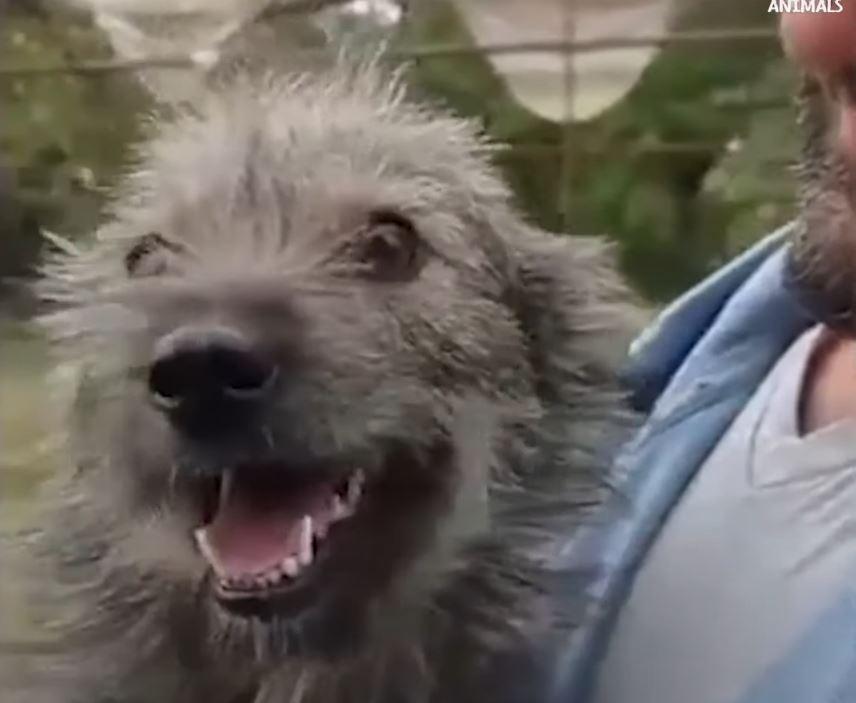 The video that captured Peggy's soulful ...