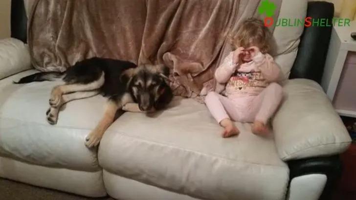 Rossie's journey from a scared, injured ...