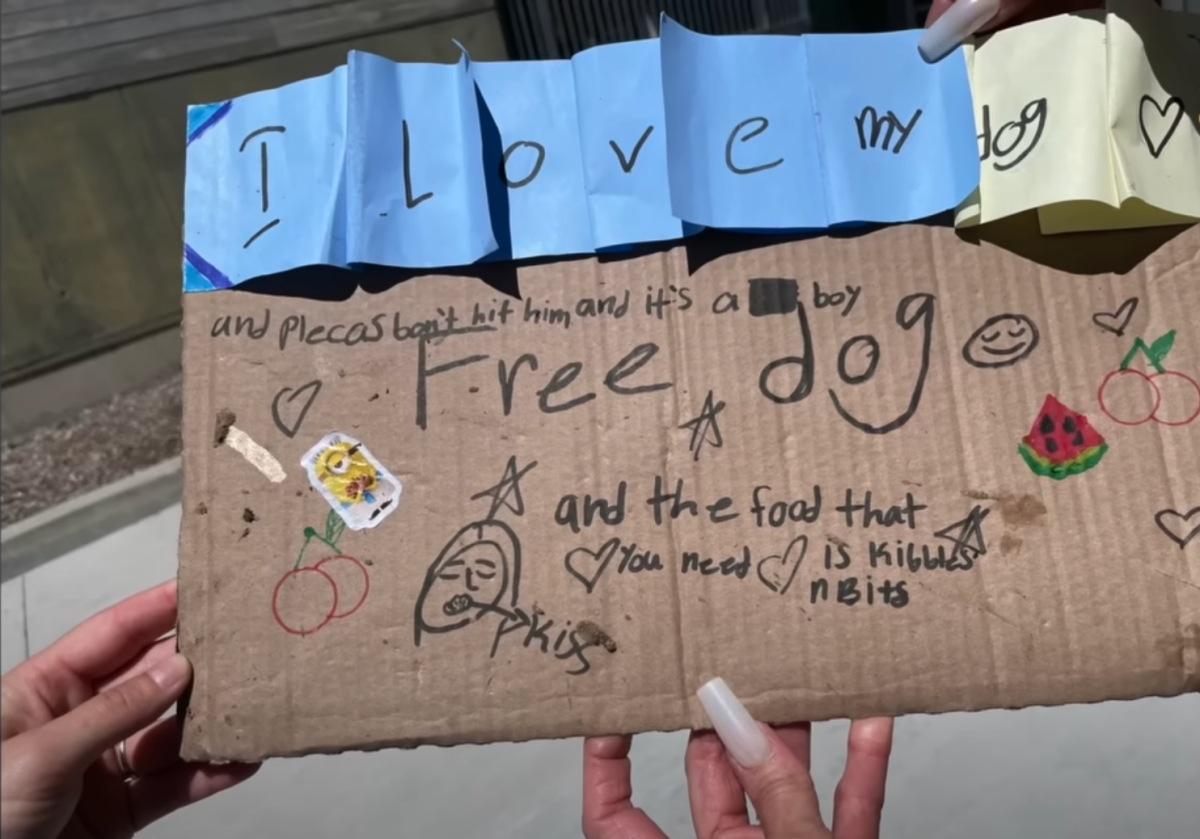 Normally, Roadogs places dogs with foste...