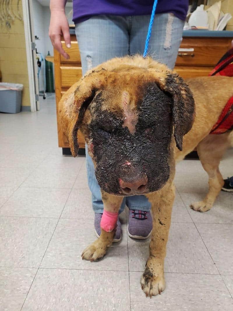 The Tunica Humane Society was so moved b...
