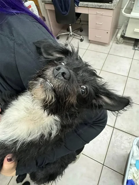 Tulum's journey to recovery began with s...