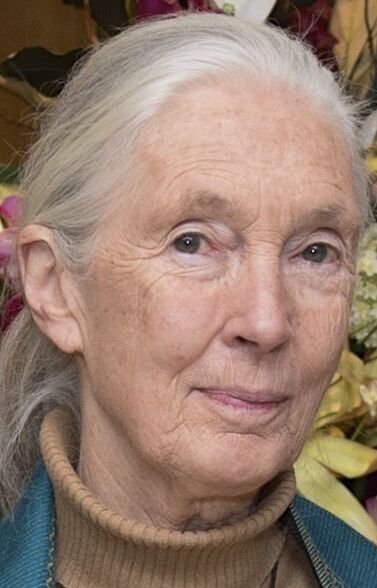 A close-up portrait of Jane Goodall in 2015