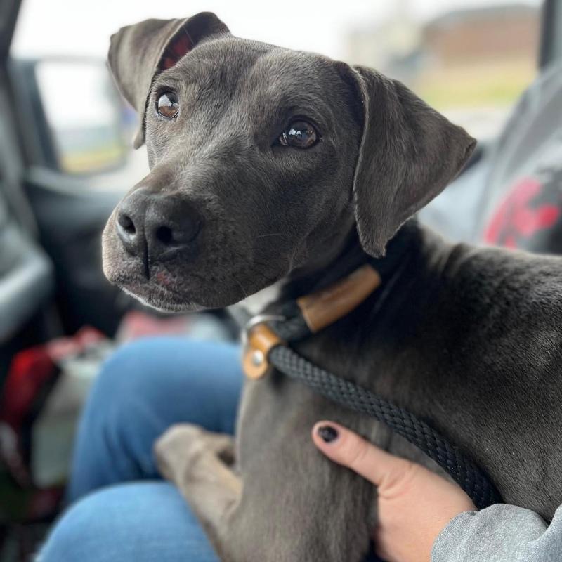 At the shelter, she received crucial car...