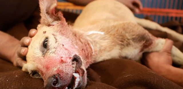 As his body mended, so did his spirit. F...