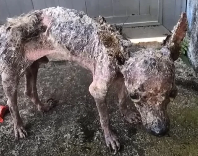 His journey to recovery was not an easy ...
