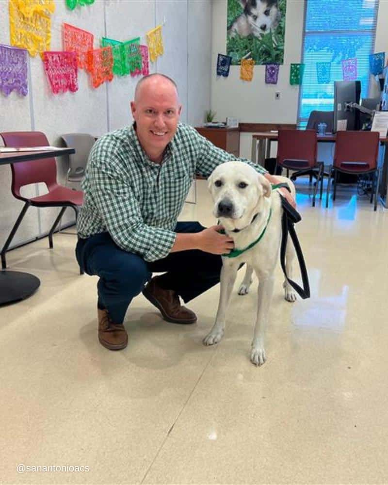 Duke is now flourishing in his new home,...