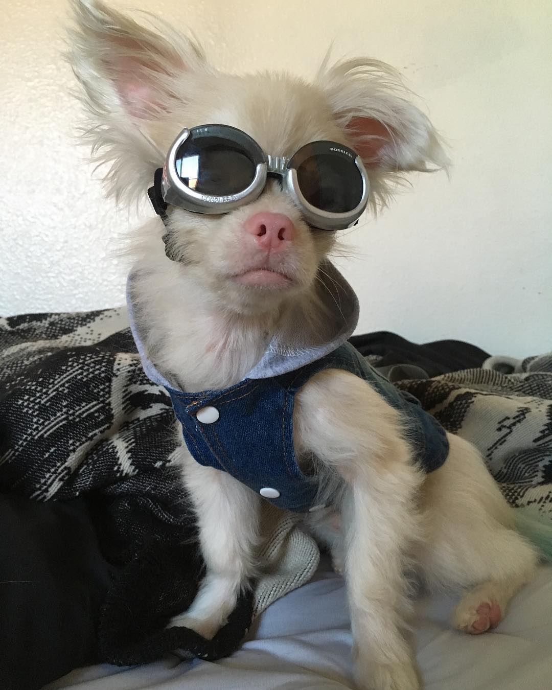 Despite his rocky beginning, Lucky has b...